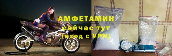 гашик Елизово