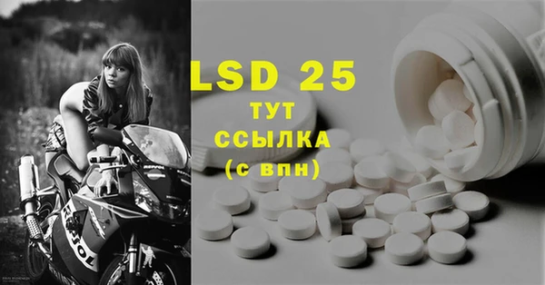 гашик Елизово
