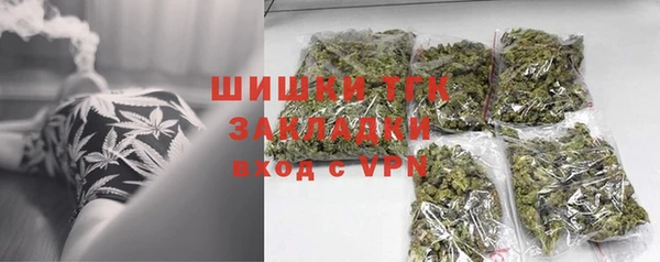 гашик Елизово
