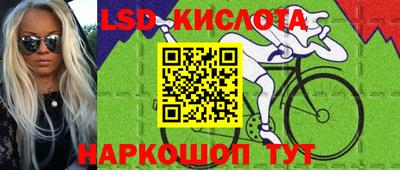 сатива Краснодар