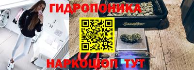 хмурый Краснознаменск