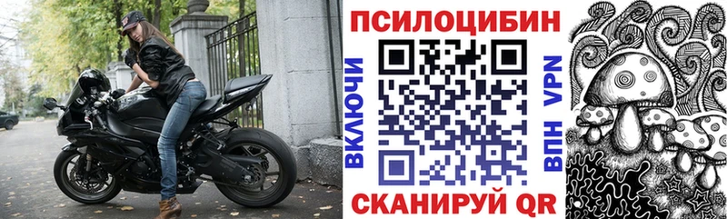 наркотики  Саяногорск  Галлюциногенные грибы прущие грибы 