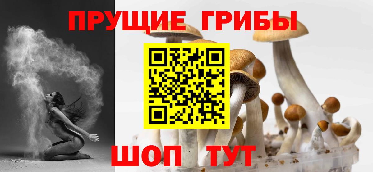 ГЕРОИН Саяногорск